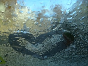 IMG_8066